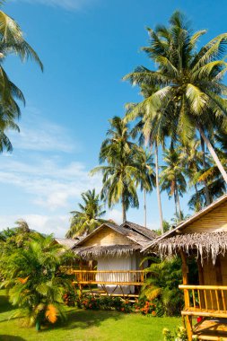 Vertical view of bamboo bungalows and palm trees near Fisherman's Village, Bophut, Ko Samui, Thailand clipart