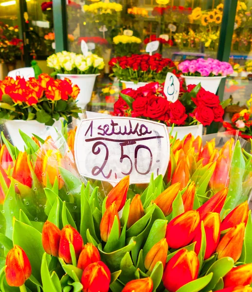 Tulipani Vendita 5Euro Pezzo Sztuka Nel Mercato Dei Fiori Breslavia — Foto Stock