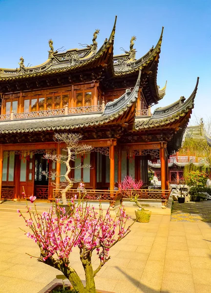 Вертикальный Вид Традиционного Павлина Yuyang Gardens Шанхай Китай — стоковое фото