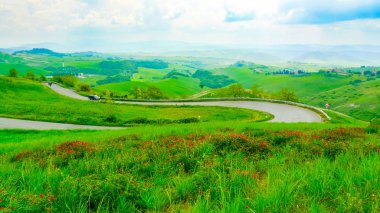 Kırmızı çiçekler Volterra, Toskana, İtalya için tırmanma yola bakan tepenin kapsadığı