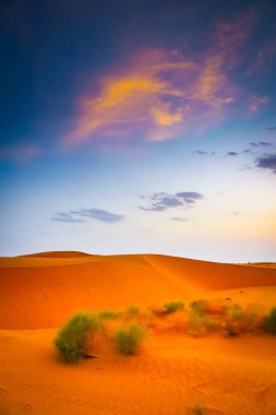 Thar çöl, Jaisalmer, Rajasthan, Hindistan over gün batımında renkli bulutlar