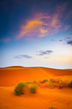 Colorful clouds at sunset over Thar desert, Jaisalmer, Rajasthan, India clipart