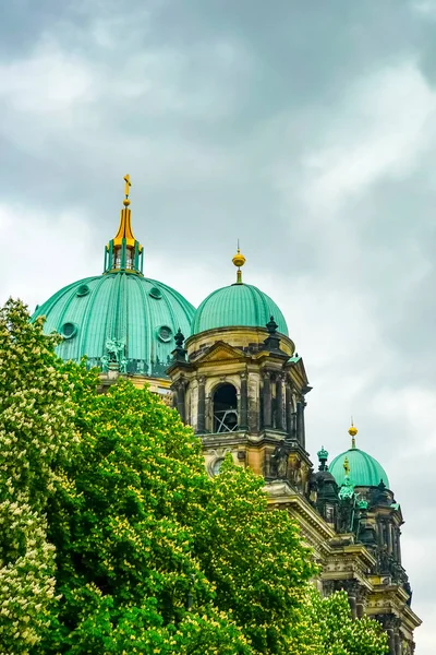 Берлинский Собор Berliner Dom Подглядывающий Деревьями Фоне Облачного Неба Германия — стоковое фото