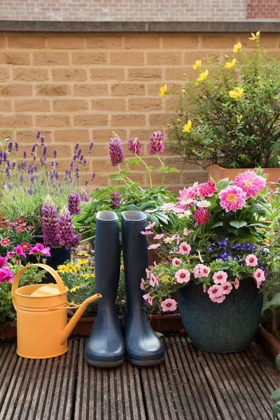 Attrezzi Giardinaggio Fiori Sulla Terrazza Giardino — Foto Stock