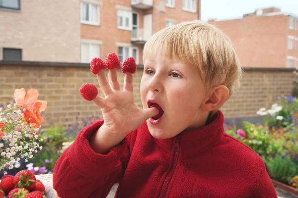Bahçede çilek yeme çocuk