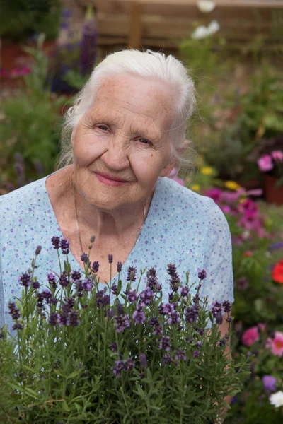 Mujer Anciana Encantadora Sosteniendo Flores Lavanda Jardín — Foto de Stock