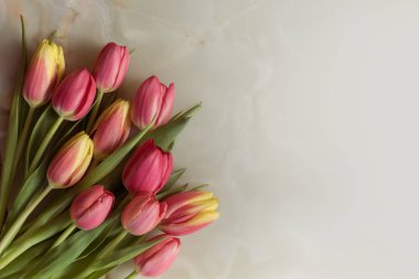Güzel çiçekler, Bahar Lale mermer bir zemin üzerine buket