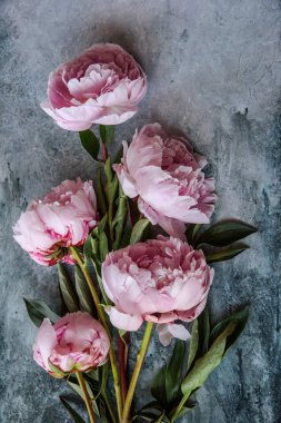 Pembe peonies arka plan