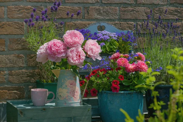 Decorazione floreale vicino a casa — Foto Stock