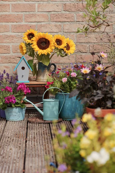 Arredamento autunnale con girasoli — Foto Stock