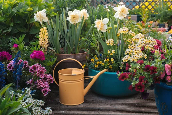 Εργαλεία Κηπουρικής Και Λουλούδια Στη Βεράντα Του Κήπου — Φωτογραφία Αρχείου