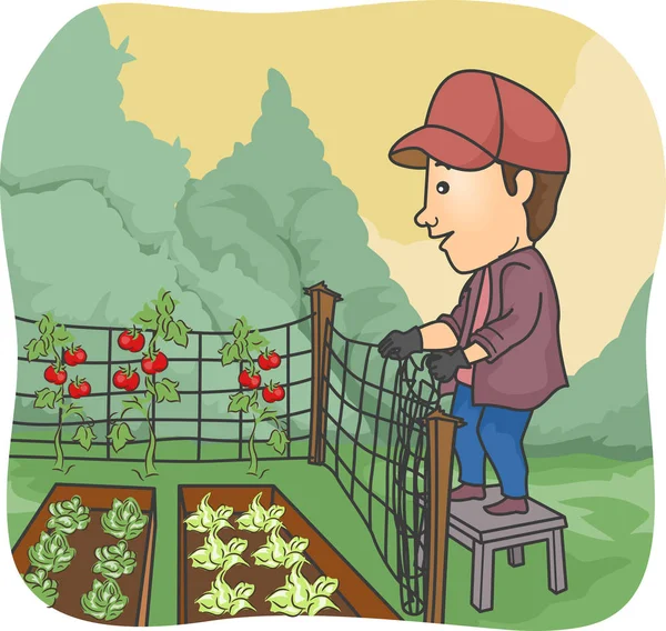 Człowiek rolnik ogrodzenie ogród warzywny — Zdjęcie stockowe