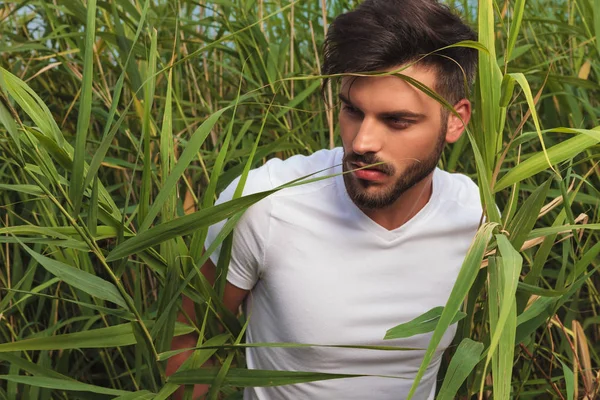 Portrait Handsome Young Man Sitting Grass Field Looking Side While — Stock Photo, Image