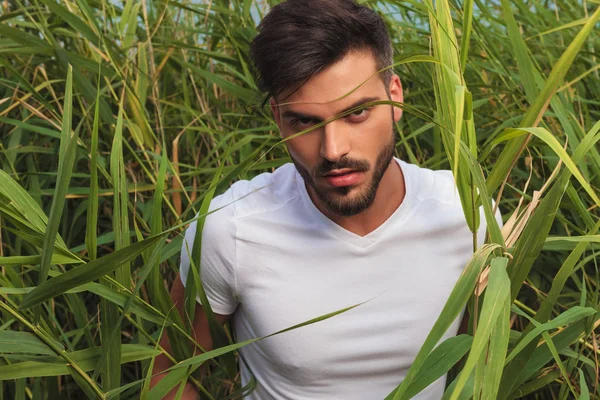 Retrato Hombre Casual Sentado Con Una Camiseta Blanca Campo Hierba — Foto de Stock