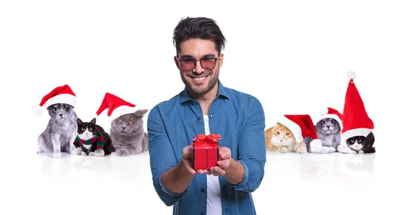 Portret Uśmiechnięty Mężczyzna Dzień Oferuje Świąteczny Prezent Grupą Kotów Santa — Zdjęcie stockowe