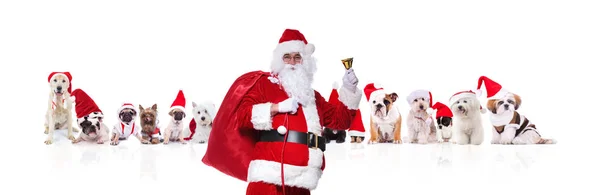 Retrato Velho Papai Noel Tocando Sua Campainha Frente Equipe Muitos — Fotografia de Stock