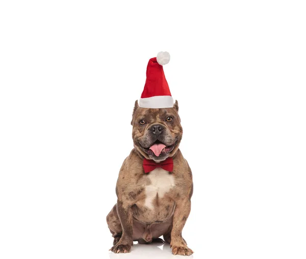 Valentão Americano Elegante Com Santa Cap Sentado Fundo Branco Ofegante — Fotografia de Stock