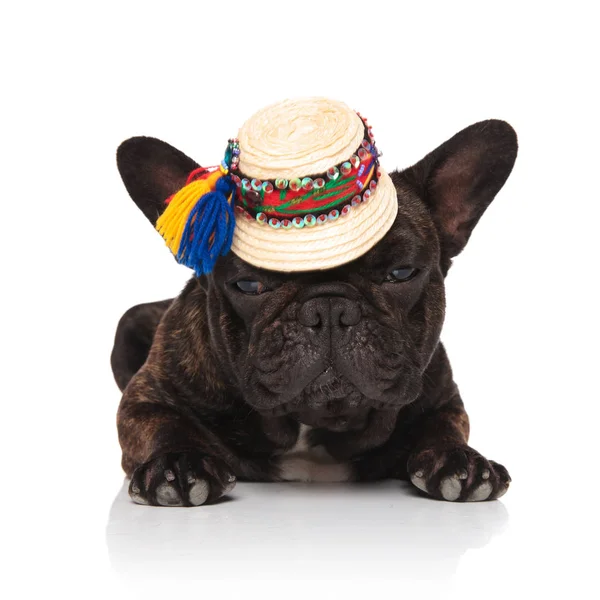 Adorável Bulldog Francês Vestindo Tampa Palha Tradicional Descansando Fundo Branco — Fotografia de Stock