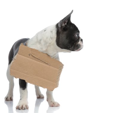 Fransız buldozer karton kurulu ve boynunda ile