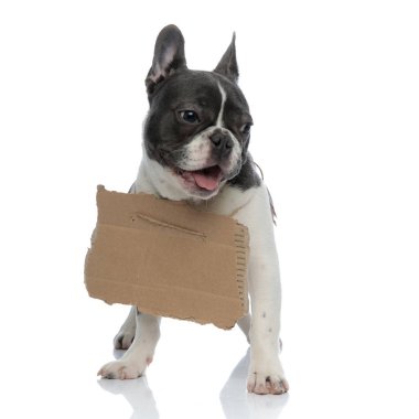 Fransız buldozer karton kurulu ve boynunda ile