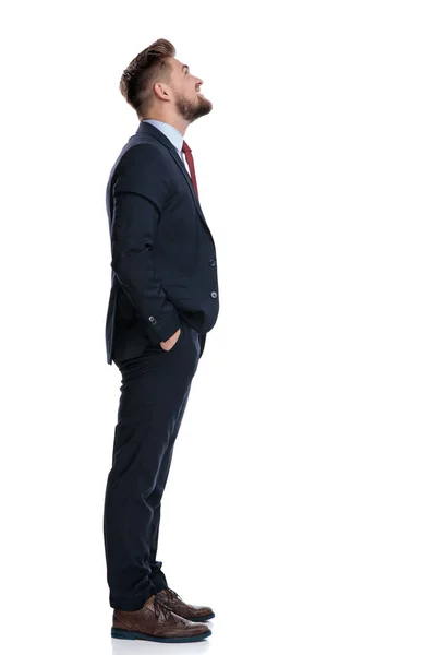 Side view of a hopeful businessman looking up — Stock Photo, Image