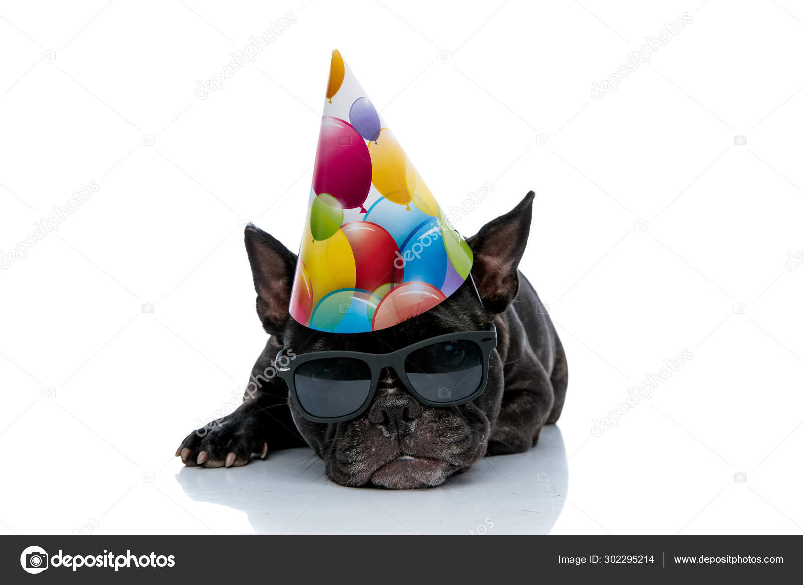 Bulldog Anniversaire Images Libres De Droit Photos De Bulldog Anniversaire Depositphotos Bulldog Anniversaire Images Libres De Droit Photos De Bulldog Anniversaire Depositphotos
