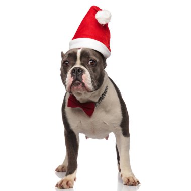 beyefendi amerikan kabadayı santa kostüm ayakta giyiyor