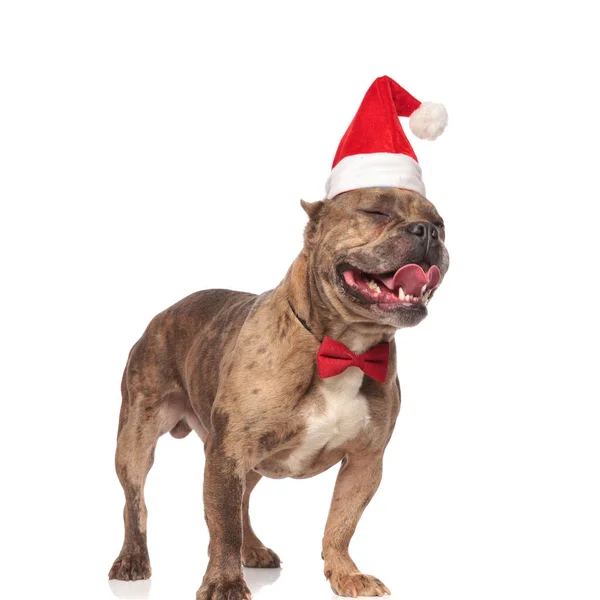 Усміхнений американський хуліган у різдвяному капелюсі та червоній косиці — стокове фото