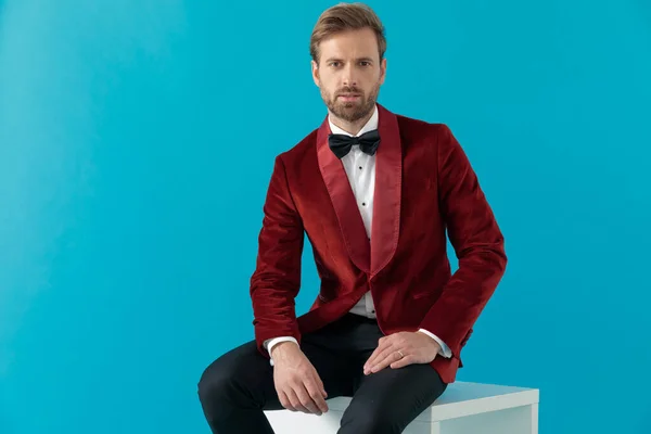 Elegant mode man bär röd sammet smoking och sitter — Stockfoto