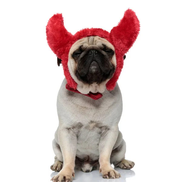 Happy Pug Puppy Wearing Devil Horns Dreaming While Sitting White — Stock Photo, Image