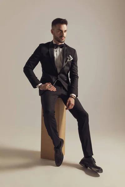 Determined Groom Looking Away Wearing Tuxedo While Sitting Gray Studio — Stock Photo, Image