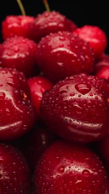 Yazın kırmızı kirazlı makrofonlu sabah çiğ taneleri doğal tazeliği ve tatlı tadı vurguluyor.