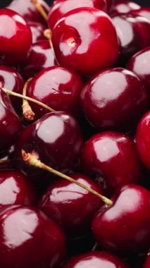 Sapları olan taze kiraz yığını canlı kırmızı tonlar ve doğal tazelik sergiliyor.