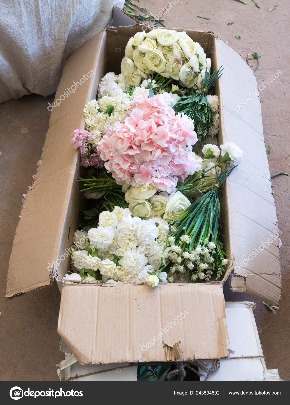 Preparations Floral Arrangements Flowers Foliage Cardboard Boxes