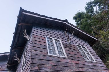 Çölde ağaçlar ortasında içinde ahşap kulübe