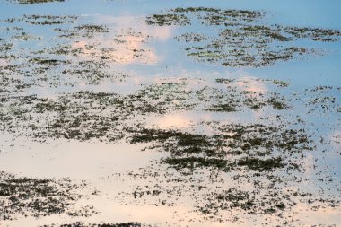 Islak topraklar gökyüzünü ve bulutu yansıtıyor.