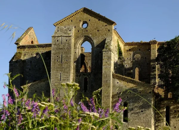 San Galgano Siena ön planda çiçekli dış görünümü