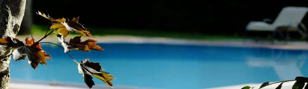 Havuz peyzaj sakin ol