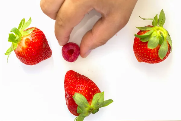  Ahududu merkezi ve beyaz bir arka plan ile yakalar bir el ile üç çilek yüksek görünümü.