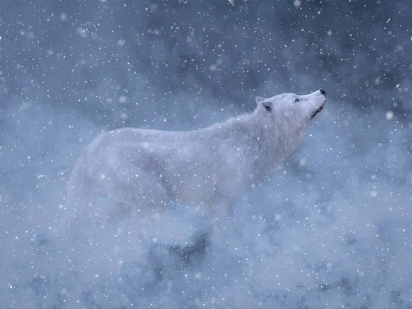 Renderização Lobo Branco Majestoso Cercado Por Neve Mágica — Fotografia de Stock