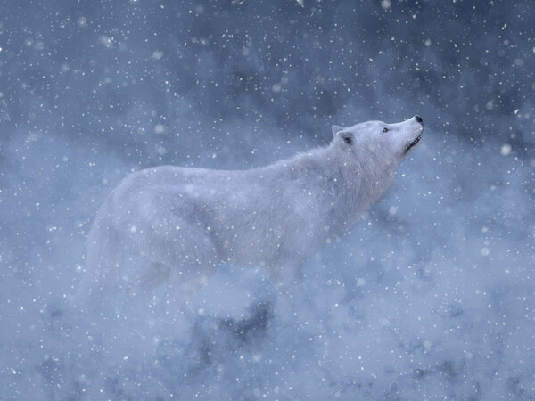 3D rendering of a majestic white wolf surrounded by magical snow.