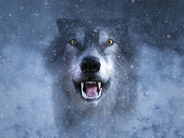 3D rendering of a gray wolf looking ready to attack and growling in the middle of a snow storm.