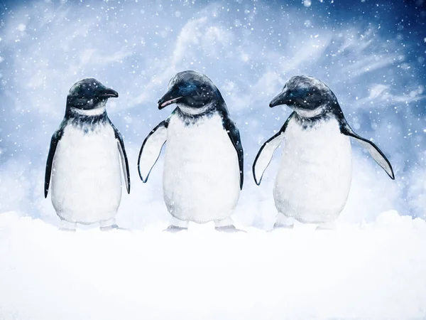 Renderização Três Pinguins Cercados Por Neve Mágica — Fotografia de Stock