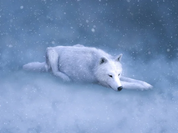 Renderização Lobo Branco Majestoso Deitado Chão Dormindo Cercado Por Neve — Fotografia de Stock