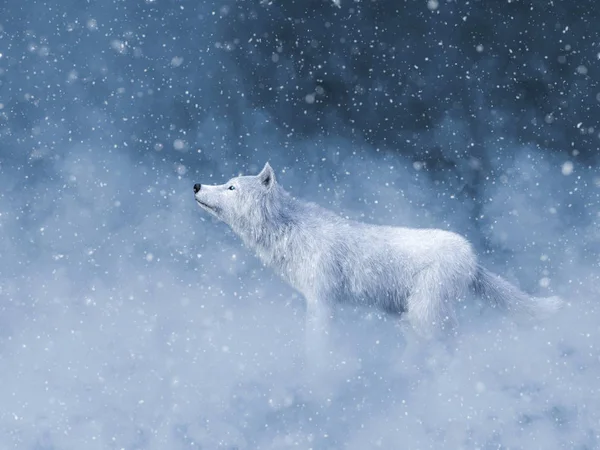 3D renderização de um majestoso lobo branco na neve . — Fotografia de Stock