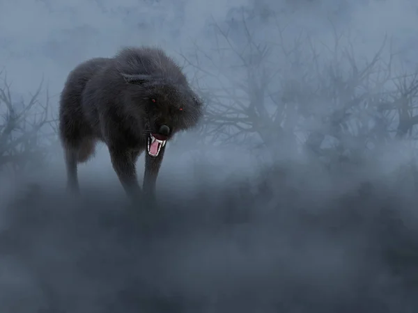 Renderização 3D de um lobo negro com olhos vermelhos brilhantes . — Fotografia de Stock