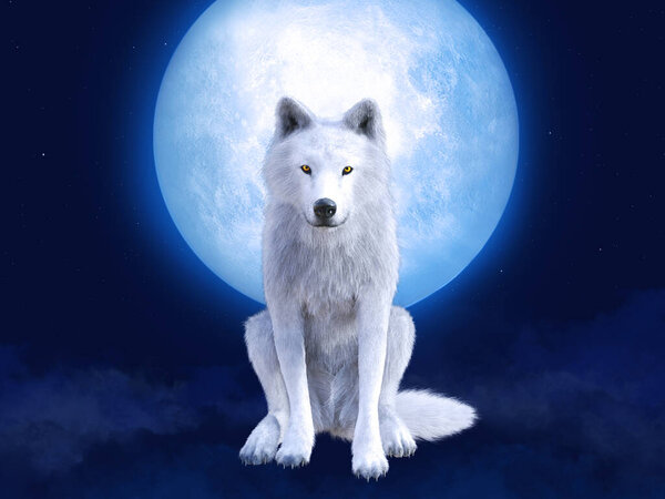 3D рендеринг величественного белого волка, сидящего перед большой луной. Звезды в ночном небе, голубой туман на земле
.