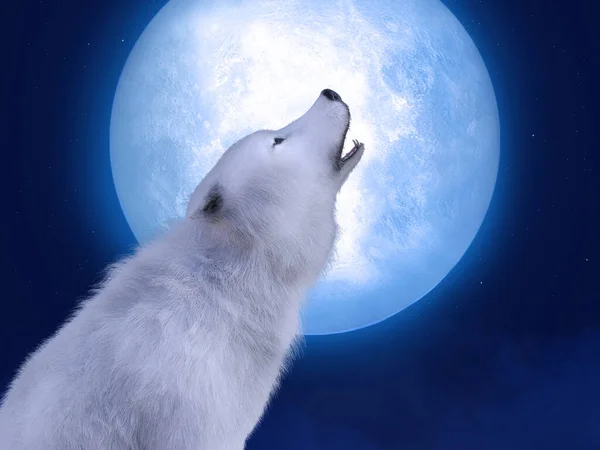 3D rendering of a majestic white wolf sitting down and howling to a big moon. Stars in the night sky.