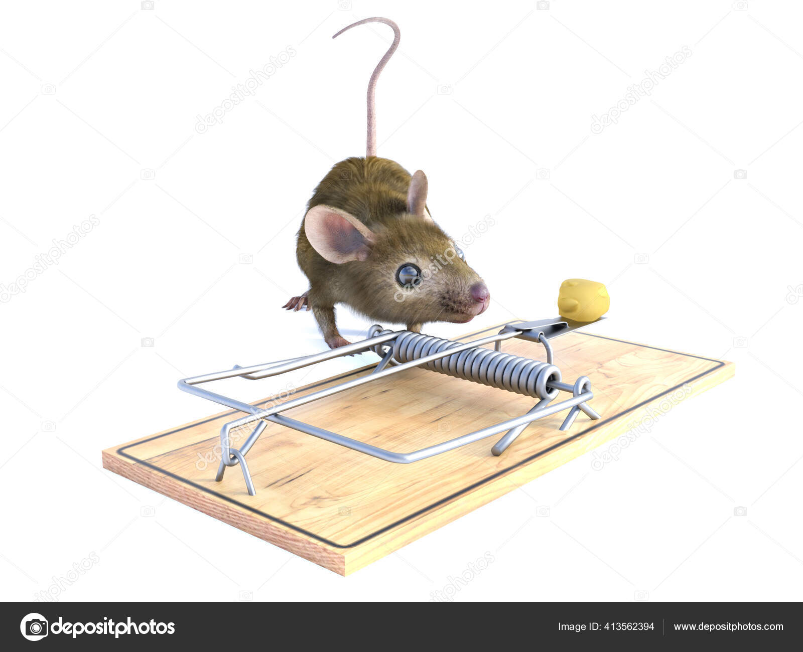 Mouse In The Mouse Trap Stock Photo - Download Image Now - Animal,  Backgrounds, Cheese - iStock