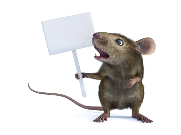 https://st4.depositphotos.com/1008006/41356/i/450/depositphotos_413562378-stock-photo-rendering-cute-mouse-standing-two.jpg